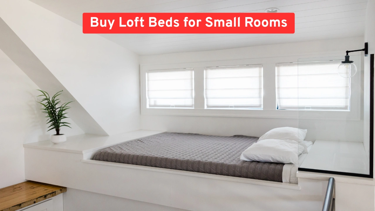 Buy Loft Beds for Small Rooms