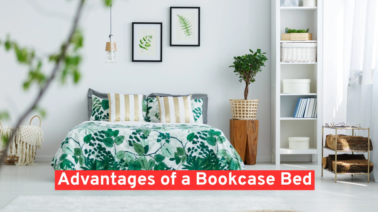 Advantages of a Bookcase Bed