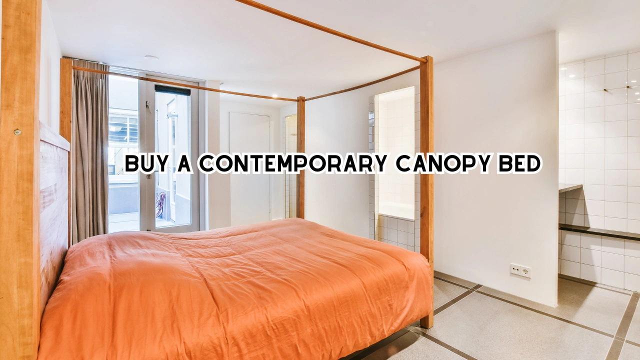 Buy a Contemporary Canopy Bed
